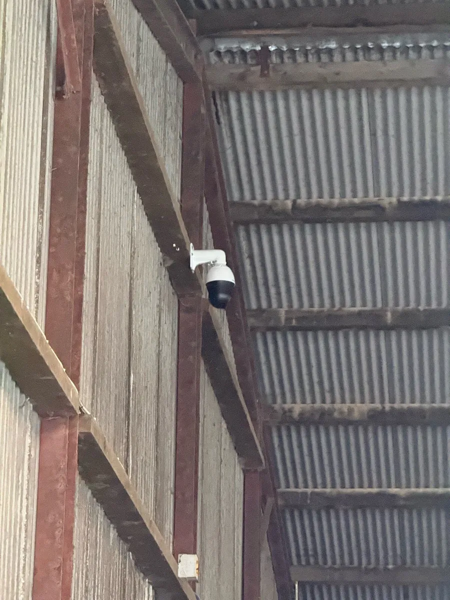 Livestock Cameras – Calving, Foaling & Lambing - Image 4