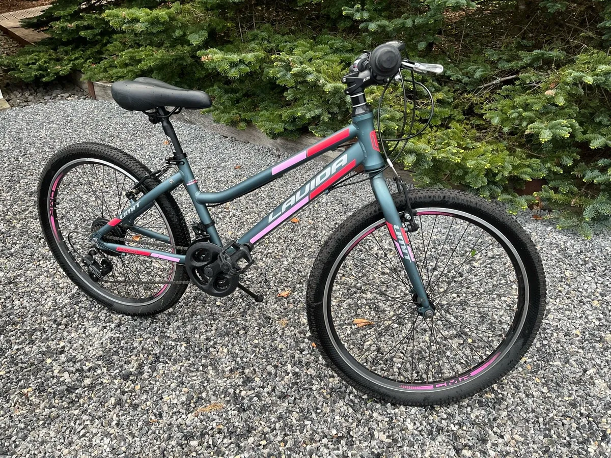 Mountain Bike - Image 2