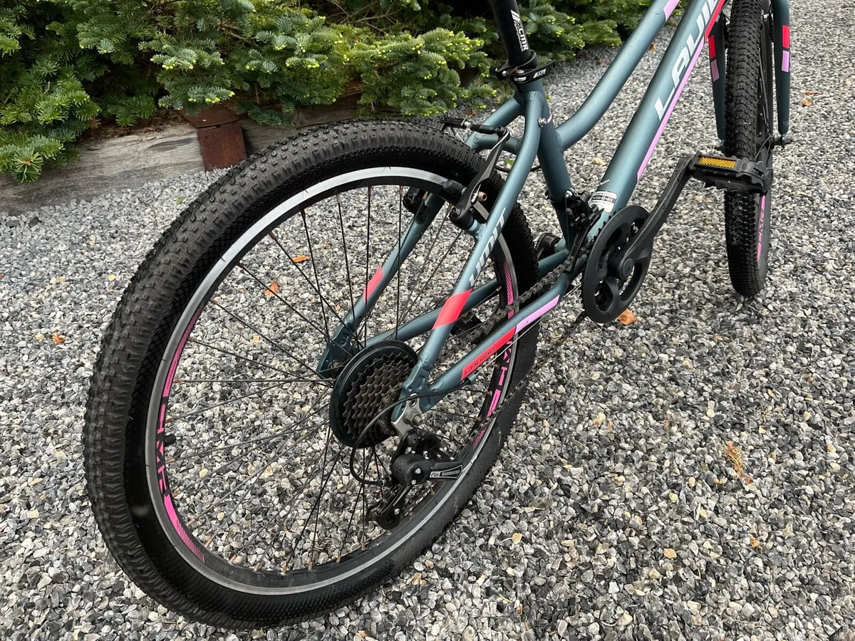 Mountain Bike - Image 3