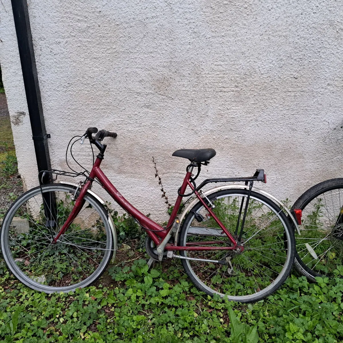 Bicycles adult mens and womens - Image 2