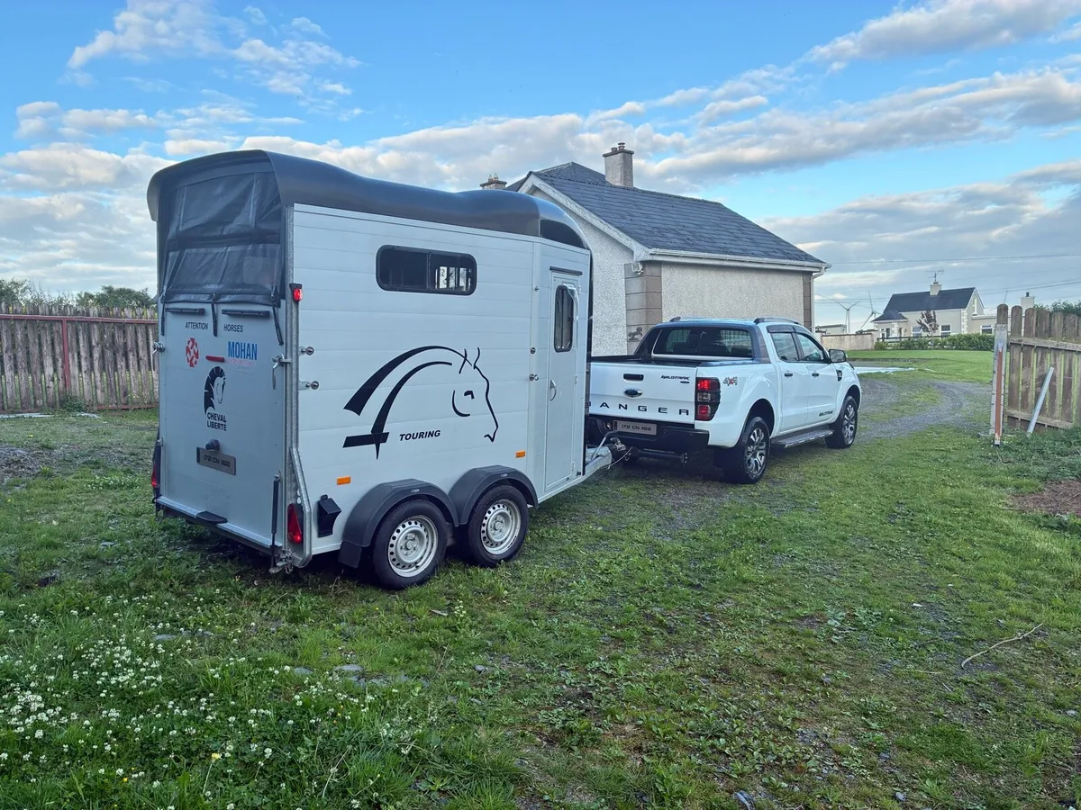 Cheval liberte touring - Image 4