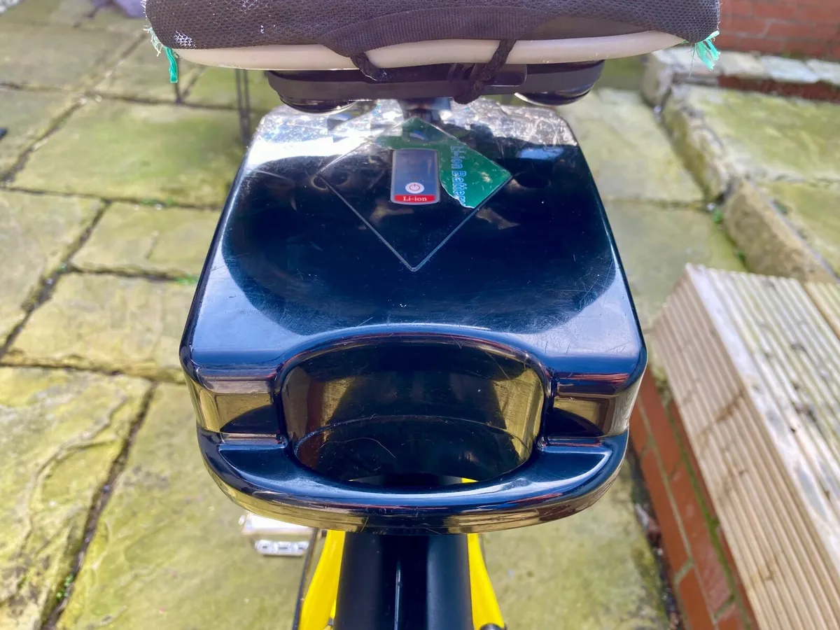 The Green Effect Electric Bike - Image 3