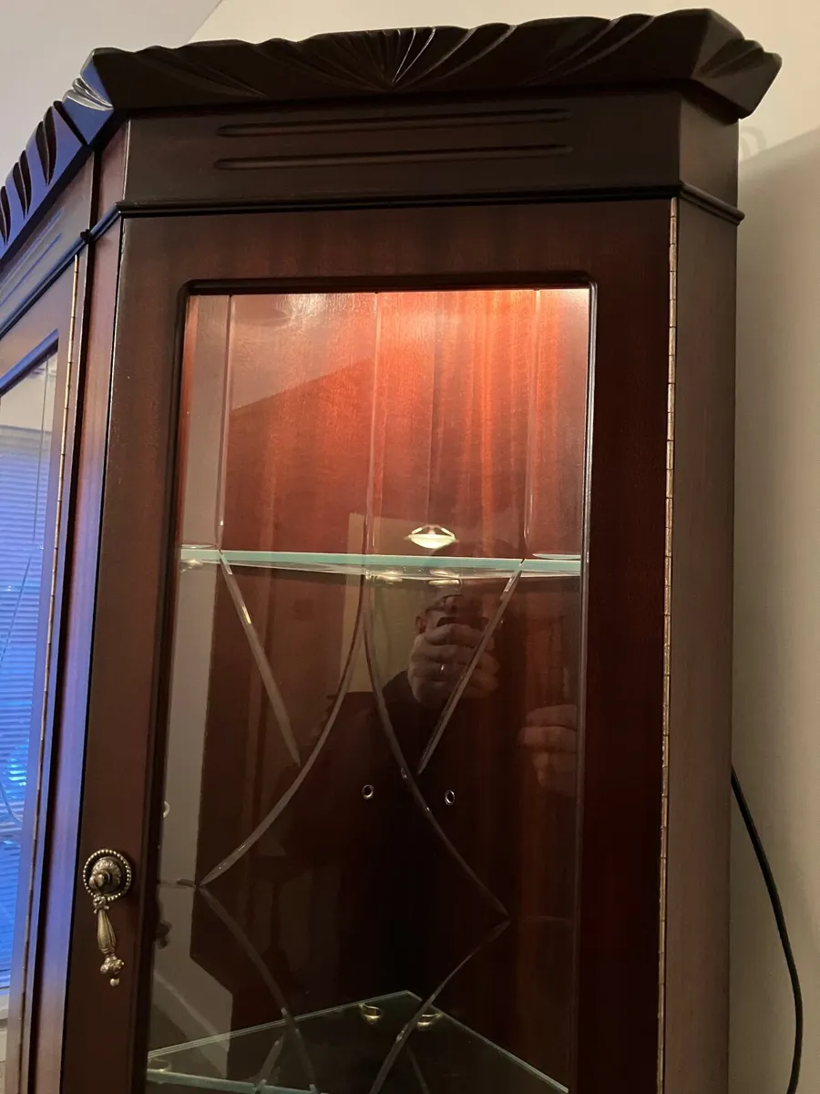 Mahogany wall Display Unit - Image 3