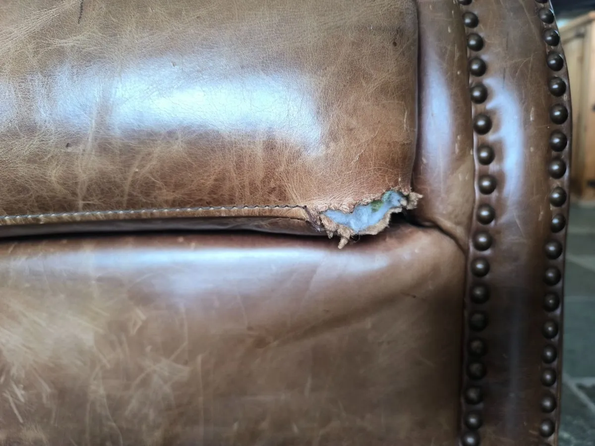Chesterfield Leather Sofa - with 3 matching chairs - Image 3