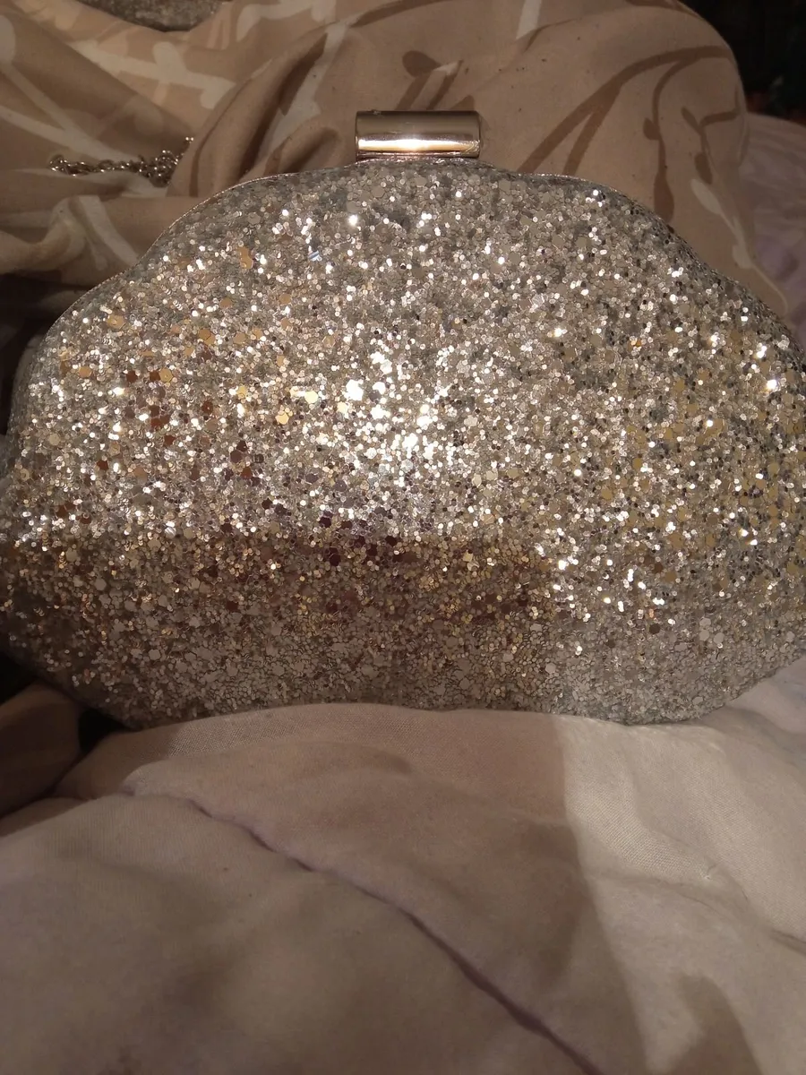 Ladies Silver Bag - Image 1