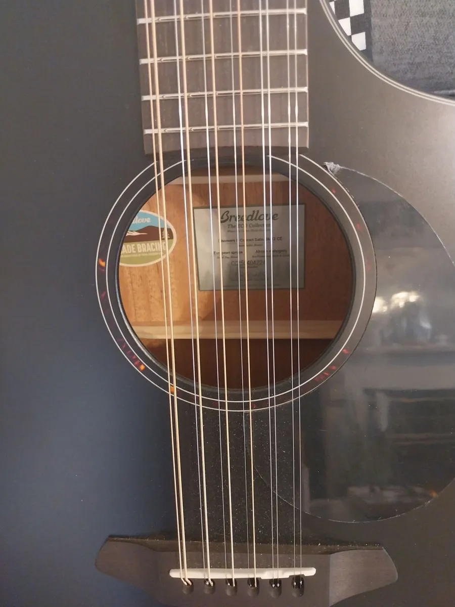 Breedlove Discovery Concert 12 String Guitar new. - Image 2