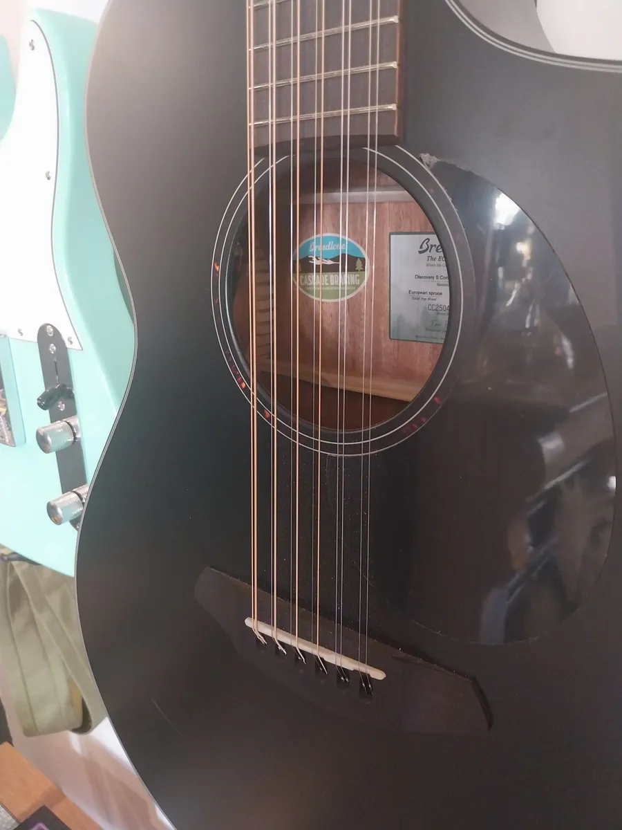 Breedlove Discovery Concert 12 String Guitar new. - Image 3