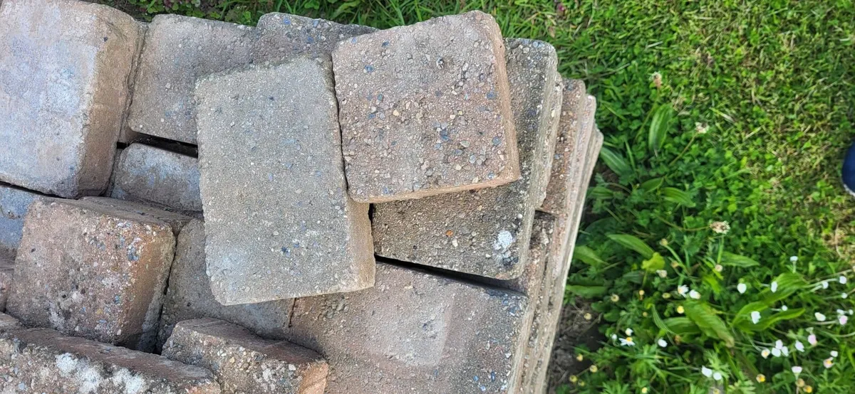 Paving bricks - Image 1