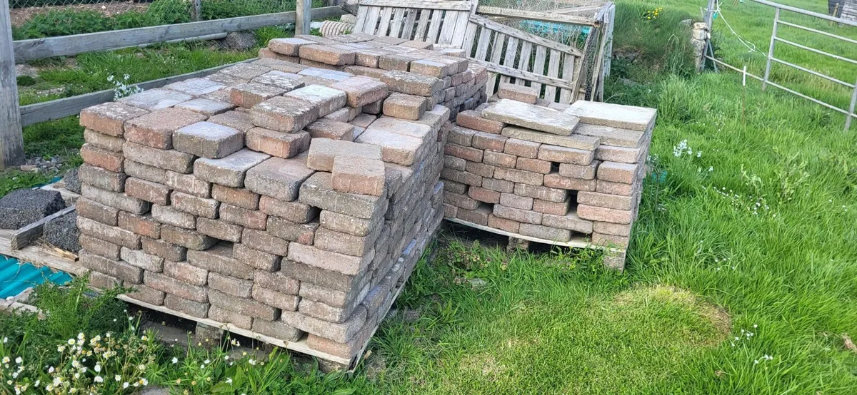 Paving bricks - Image 3