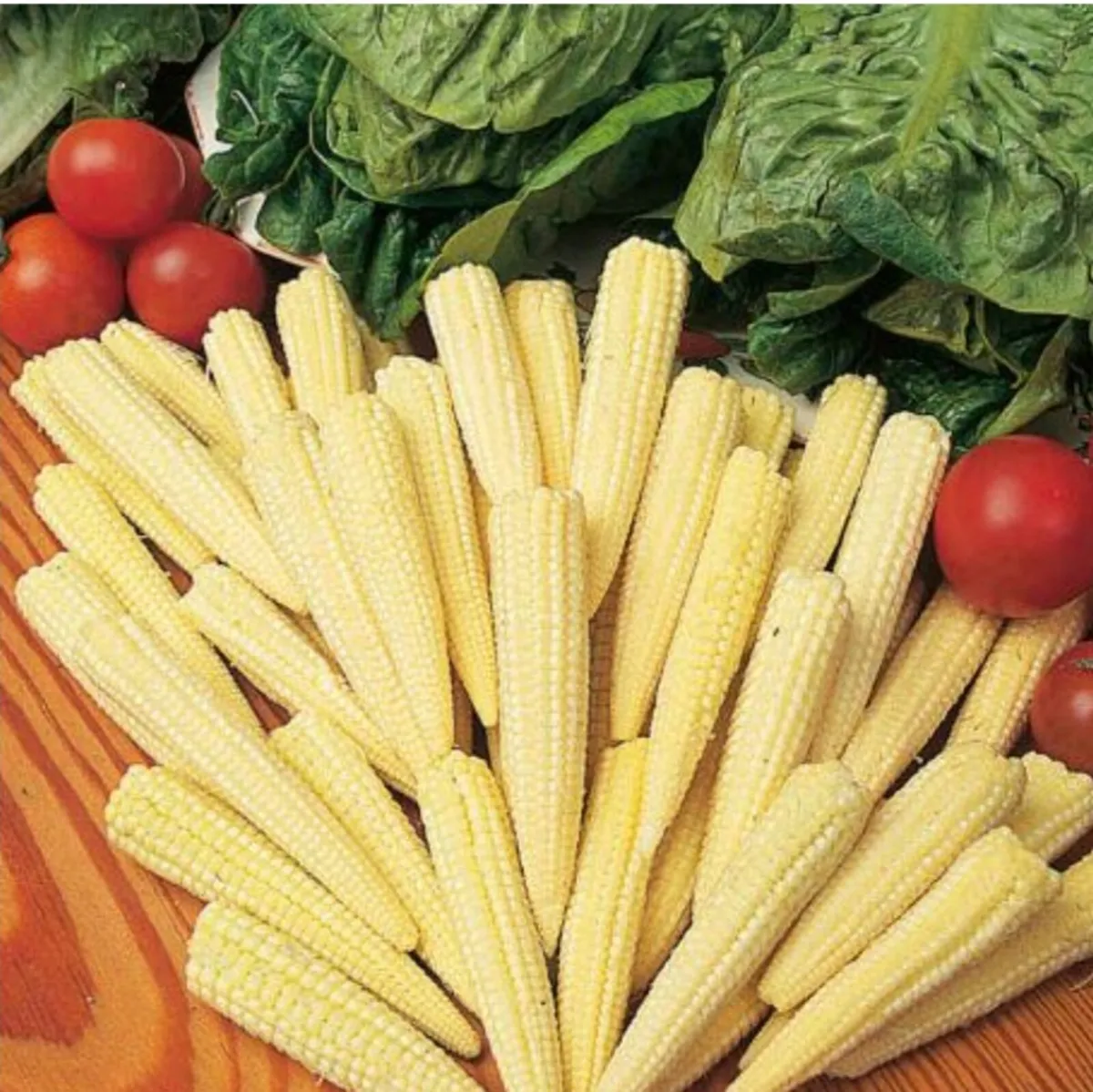 Mini Sweetcorn Starter Plants - Image 2