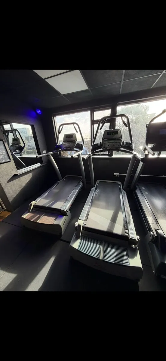 Free Motion Incline Treadmill Trainer - Image 3