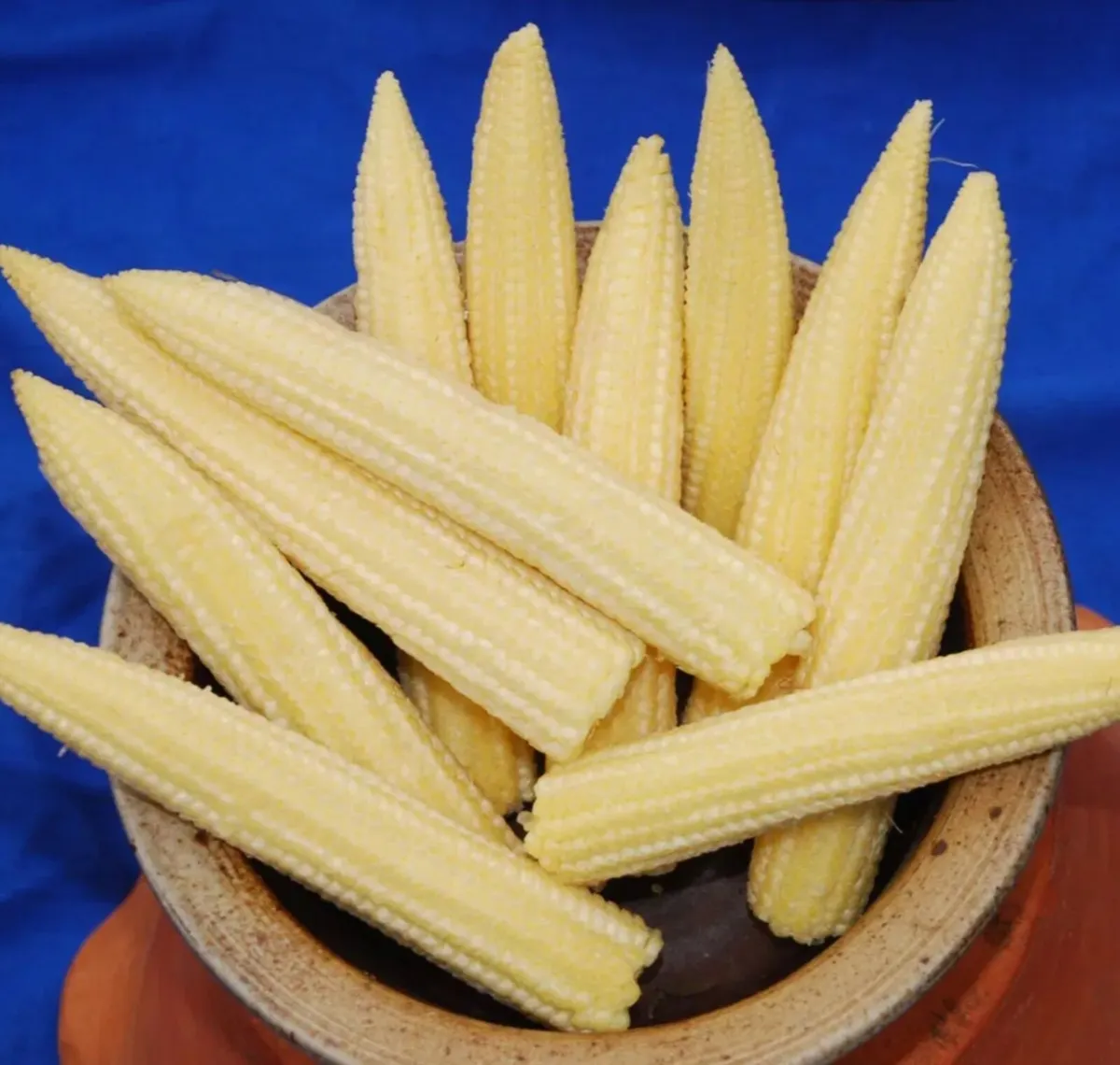 Mini Sweetcorn Starters / Seedlings  plants - Image 4