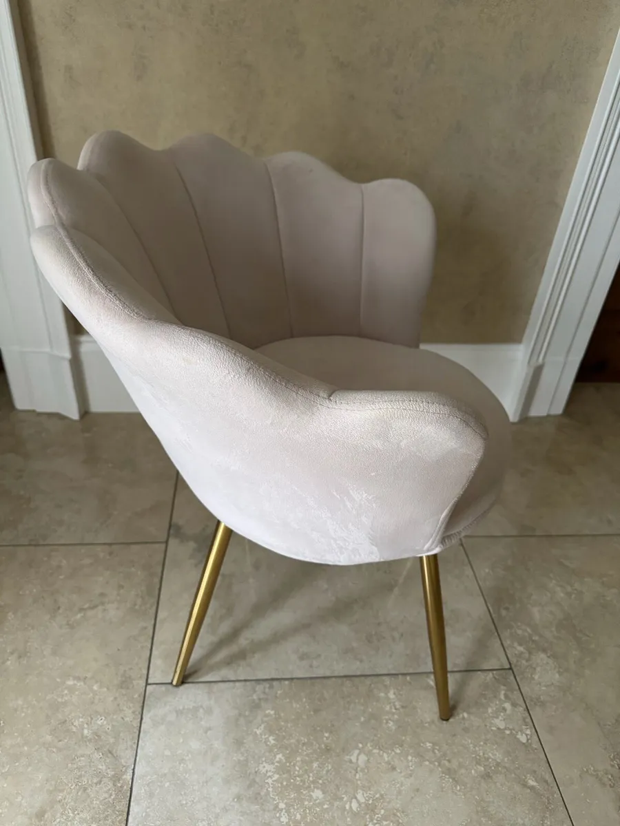 Pink Scallop Vekvet Chair & Holywood Mirror - Image 1