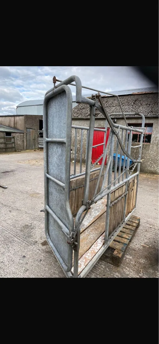 Tractor mounted cattle crush - Image 2