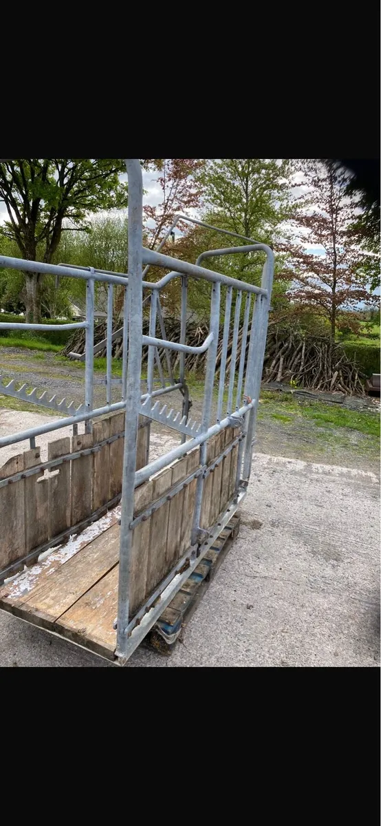 Tractor mounted cattle crush - Image 3