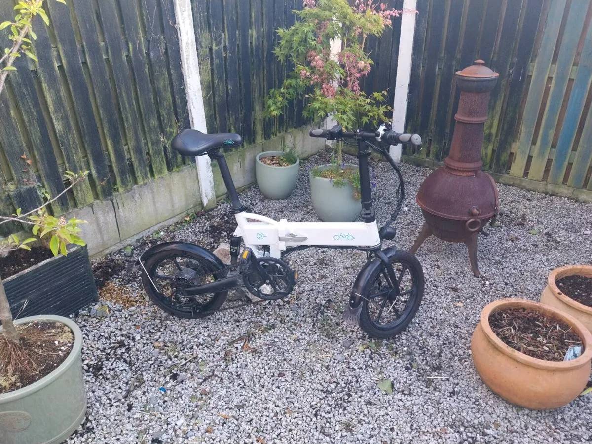 Fiido D2 folding electric bike - Image 2