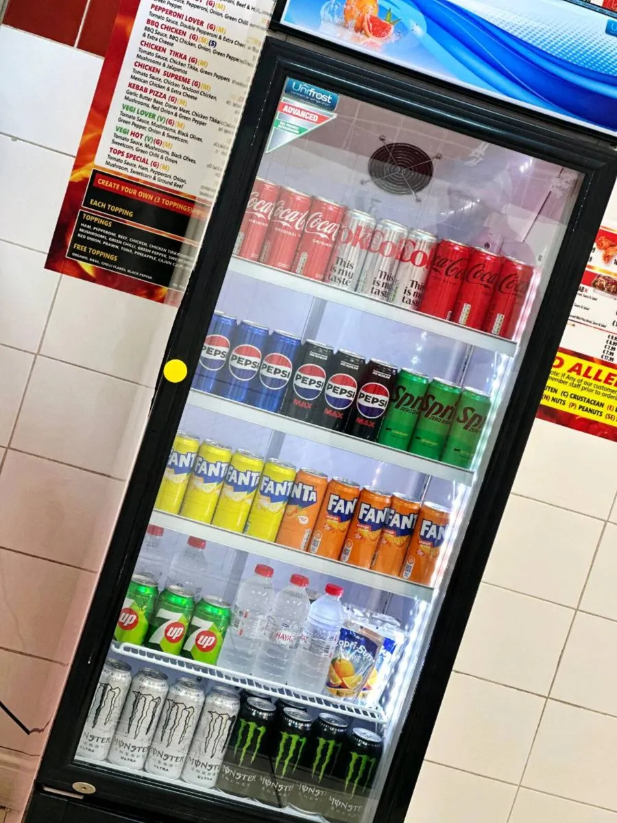 Commercial Display Fridge Drinks Cooler 300L LED - Image 1