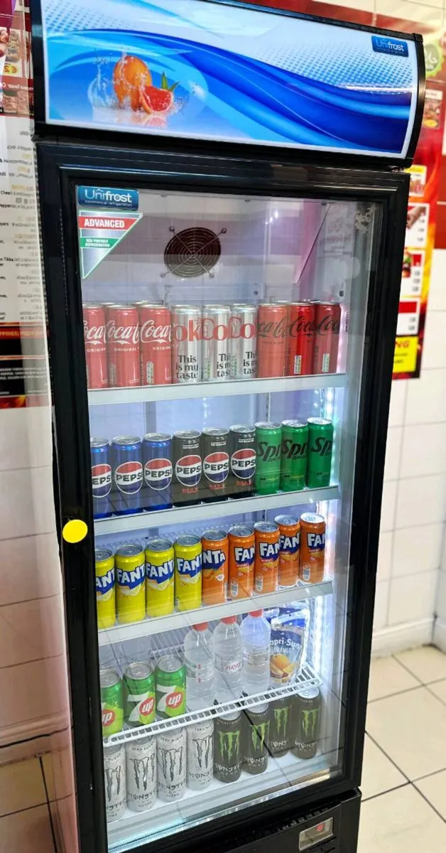 Commercial Display Fridge Drinks Cooler 300L LED - Image 3