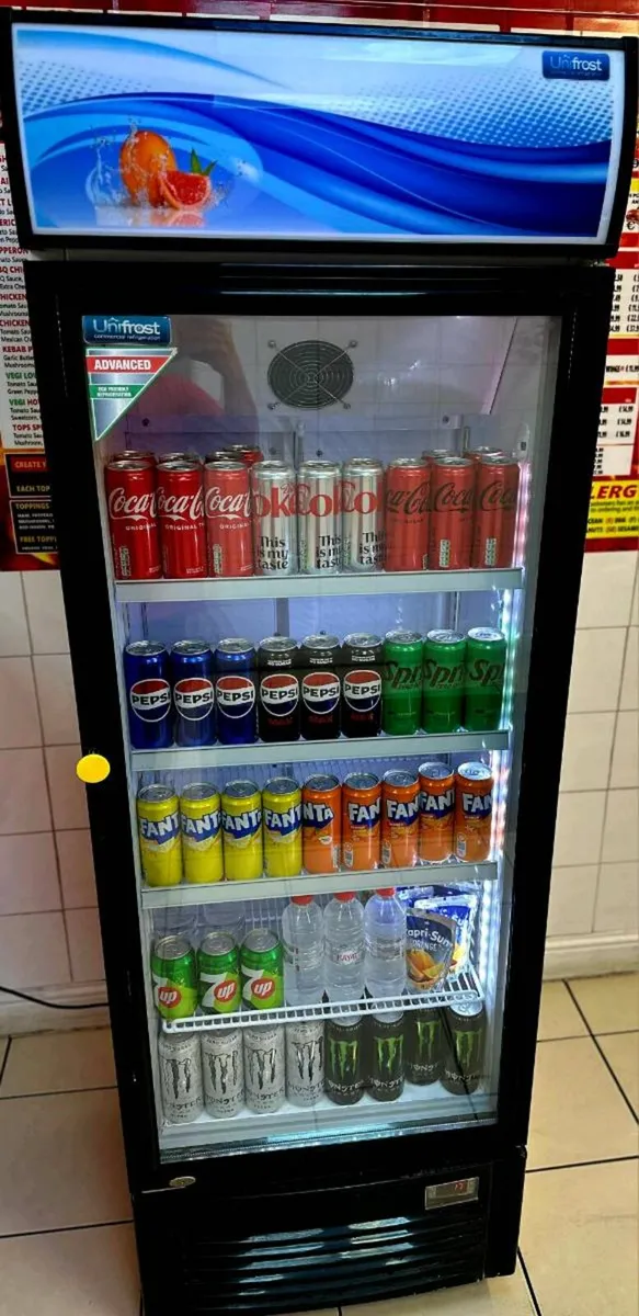 Commercial Display Fridge Drinks Cooler 300L LED - Image 4