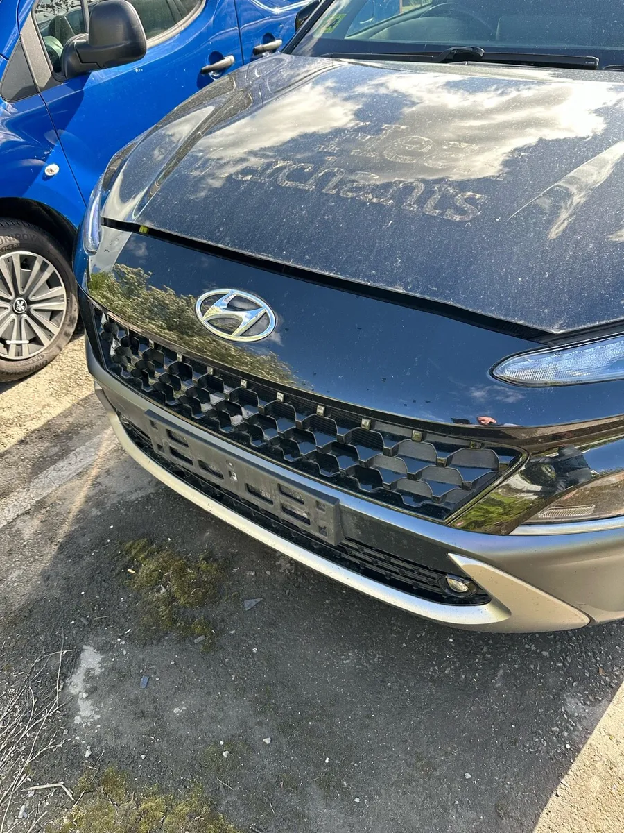 2021 Hyundai Kona commercial - Image 1