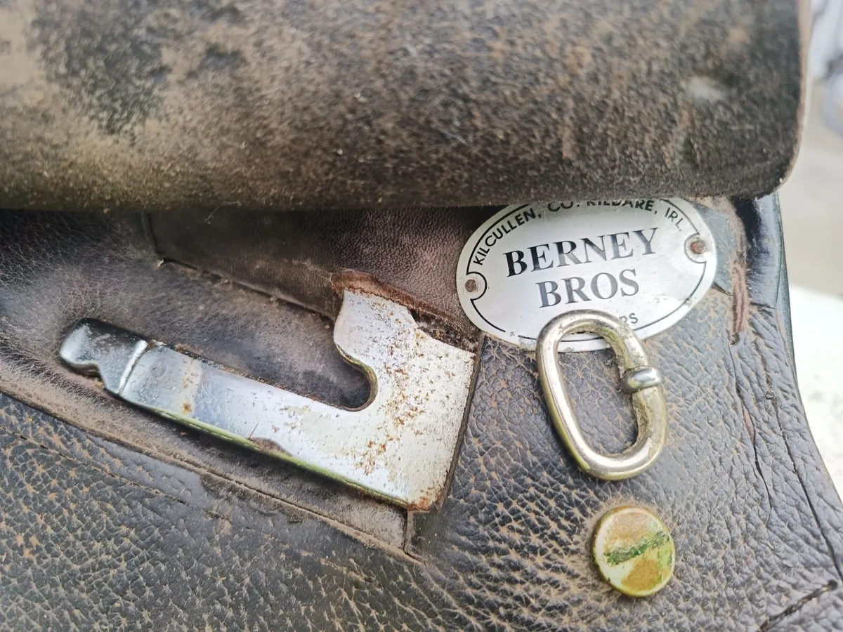 Saddle - Image 4
