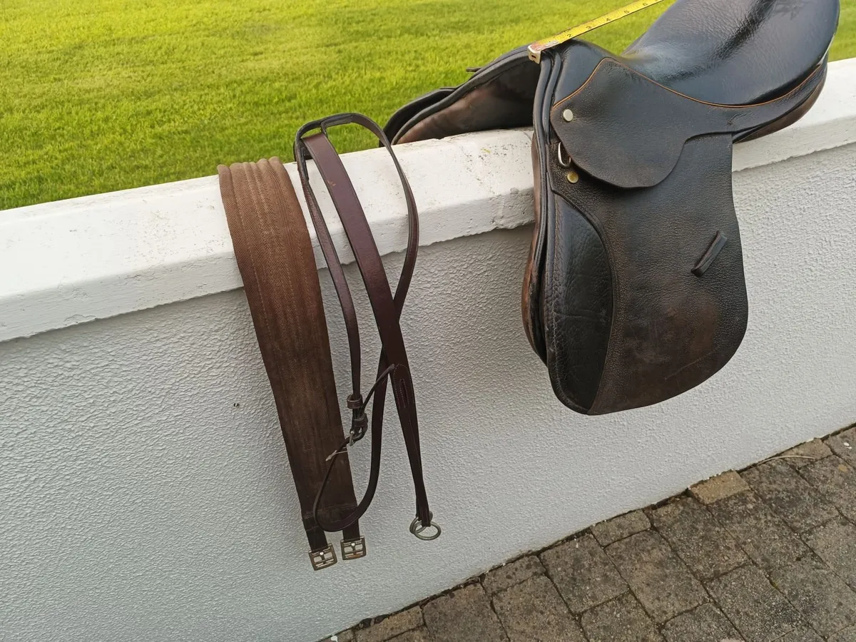 Saddle - Image 3