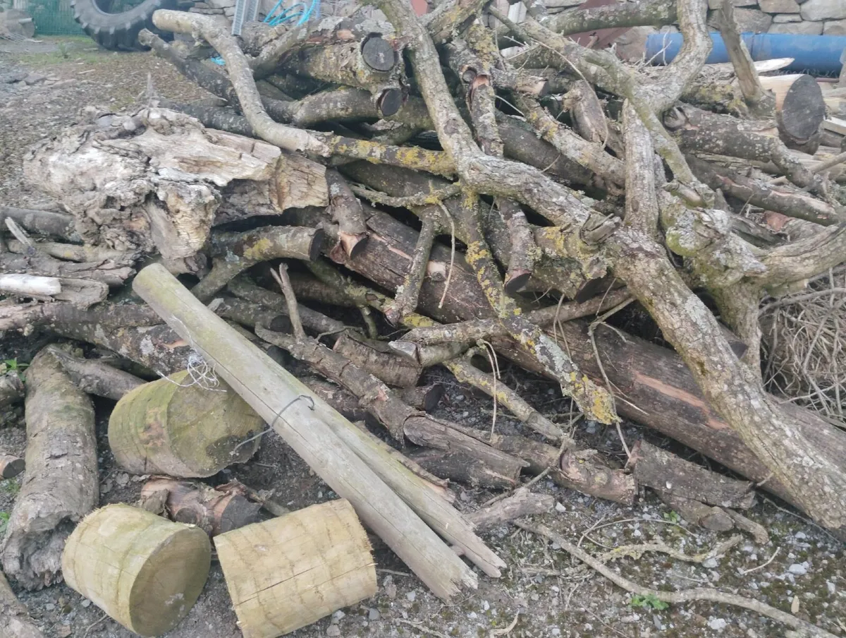 Fire wood - Image 1