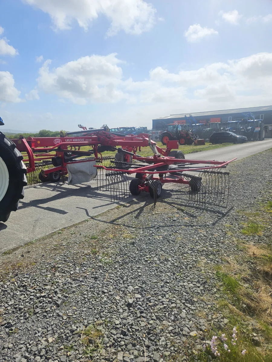 Lely Hibiscus Rake - Image 1