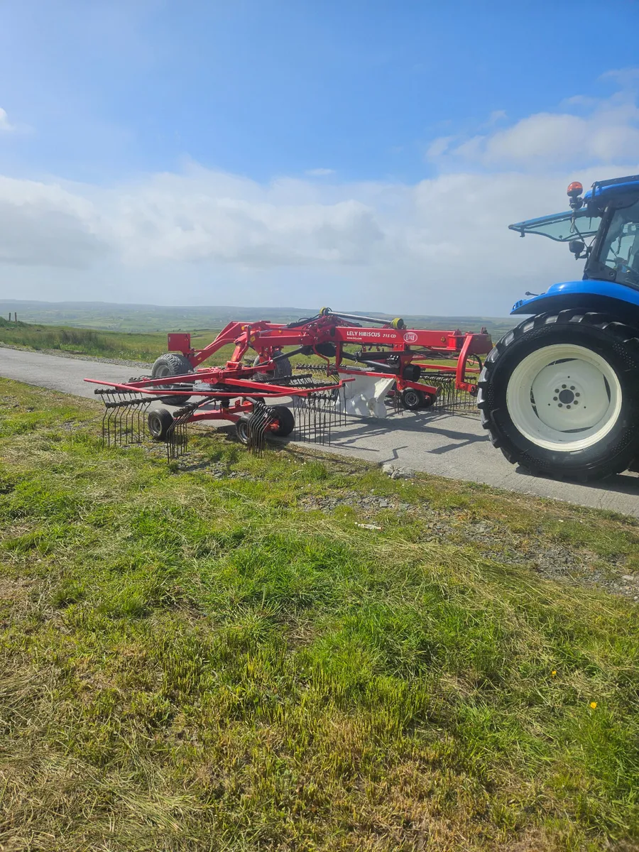 Lely Hibiscus Rake - Image 2