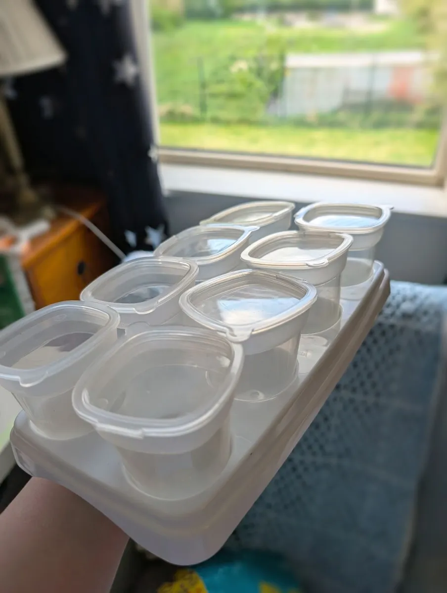 First Steps Baby Weaning Food Freezing Trays - Image 1