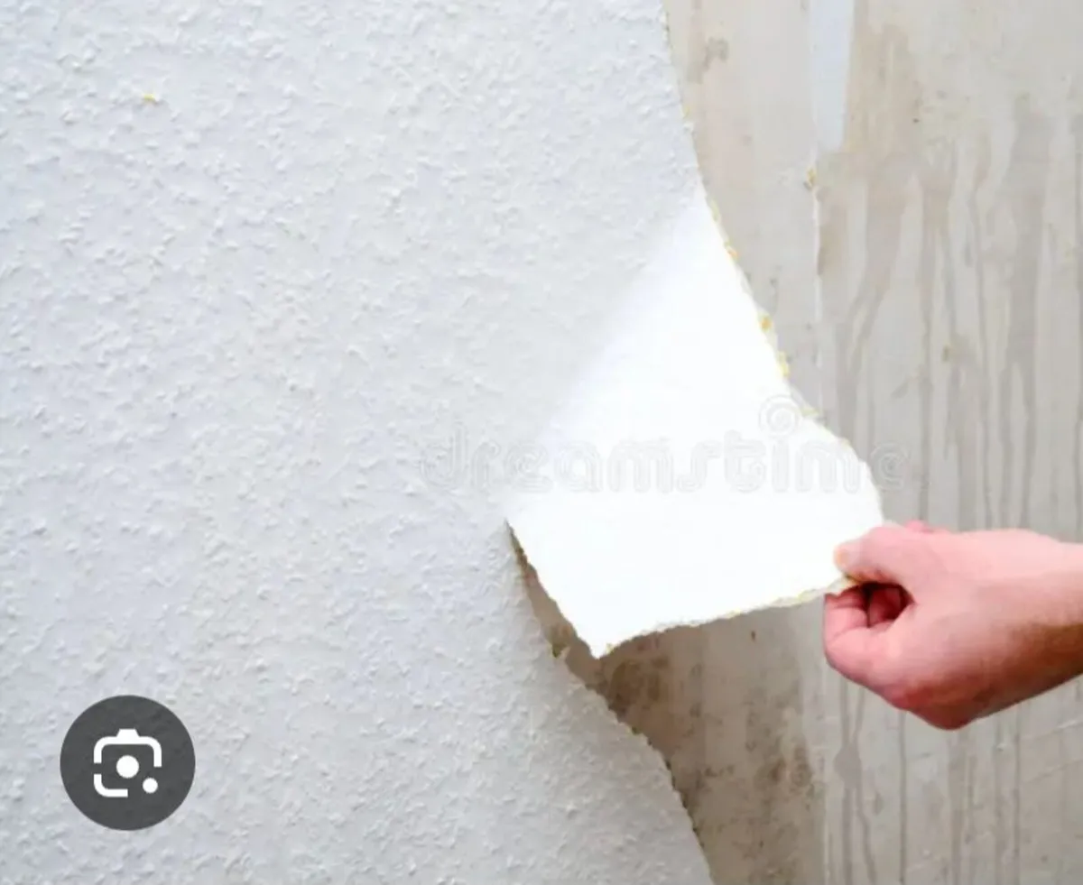 Wallpaper remover - Image 1