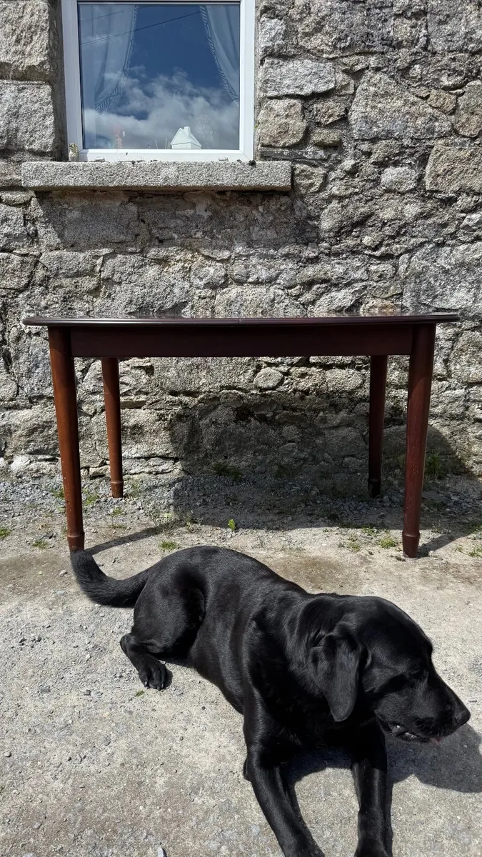 Mahongany Extentable Table - Image 1
