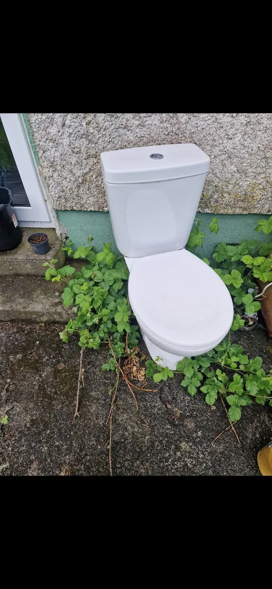 Toilet seat