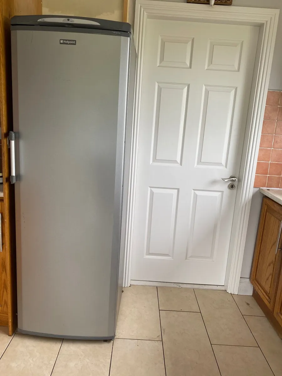 Ladder fridge - Image 2