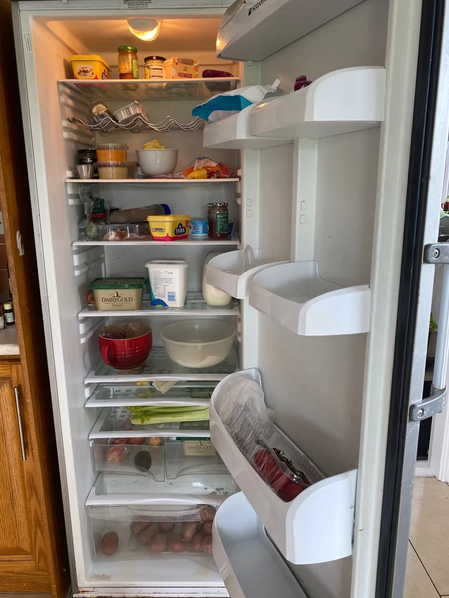 Ladder fridge - Image 4