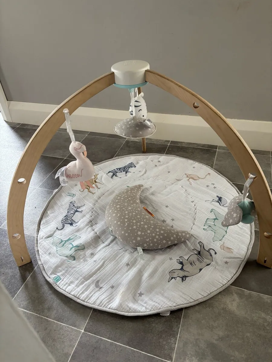 Aden & Anais baby activity gym/play mat - Image 2