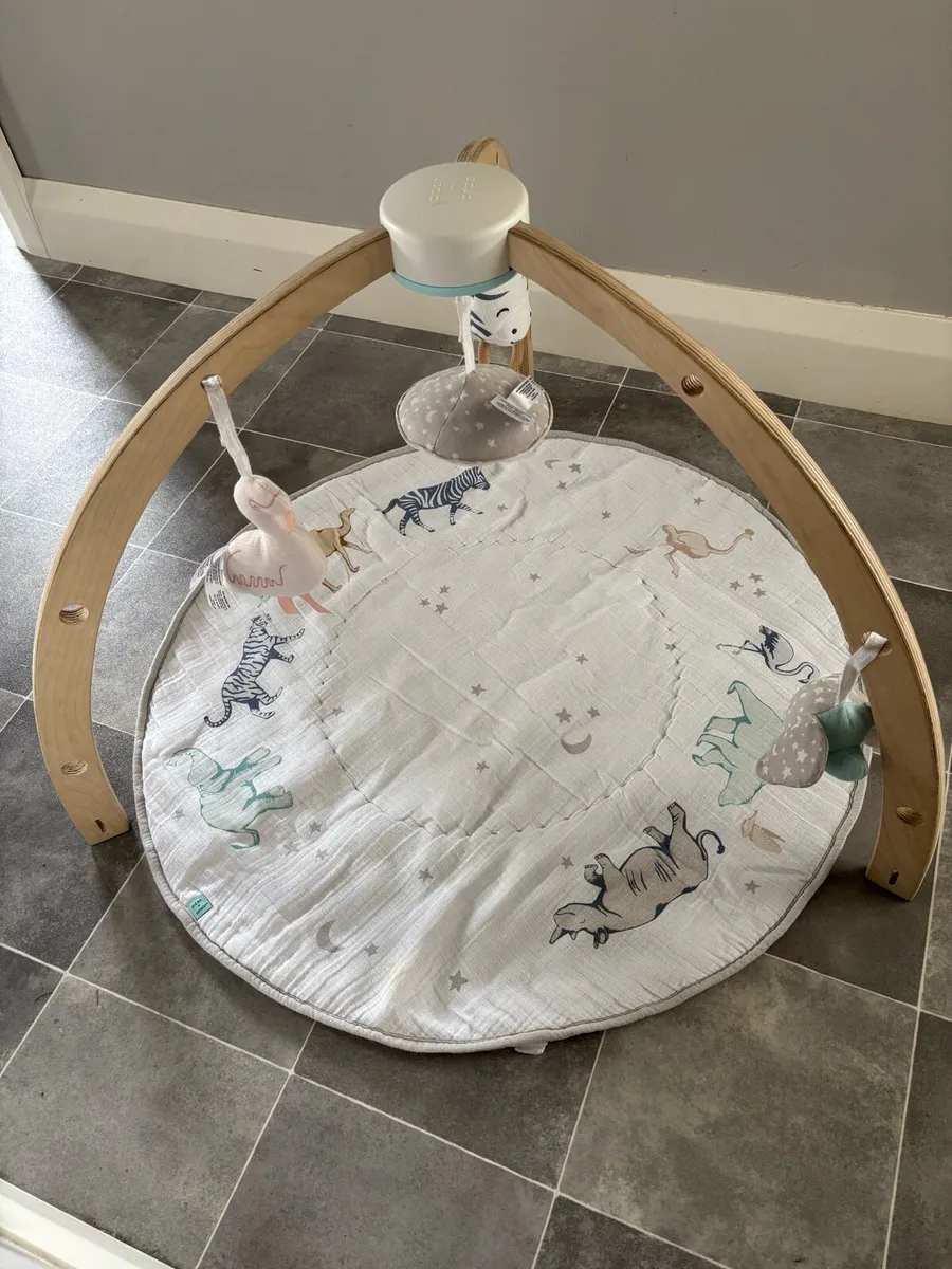 Aden & Anais baby activity gym/play mat - Image 3