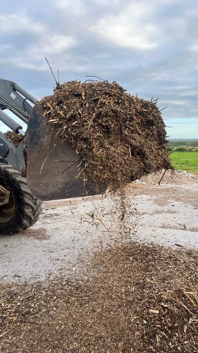 wood chip - Image 1