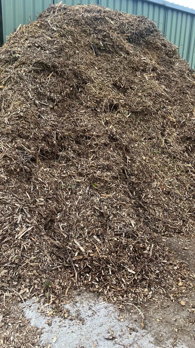 wood chip - Image 2
