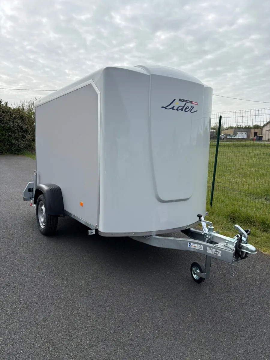 Lider Box Van 42920 - Image 1