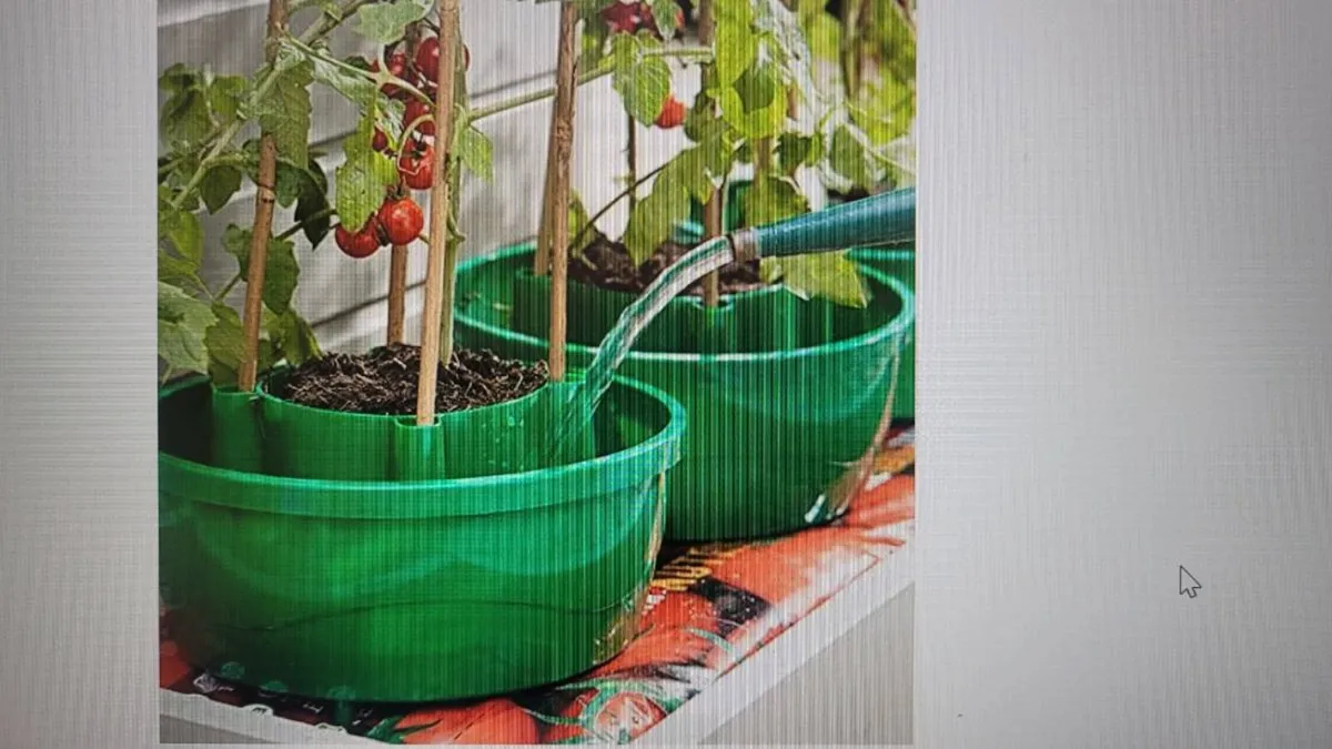 Dutch bucket - Image 4