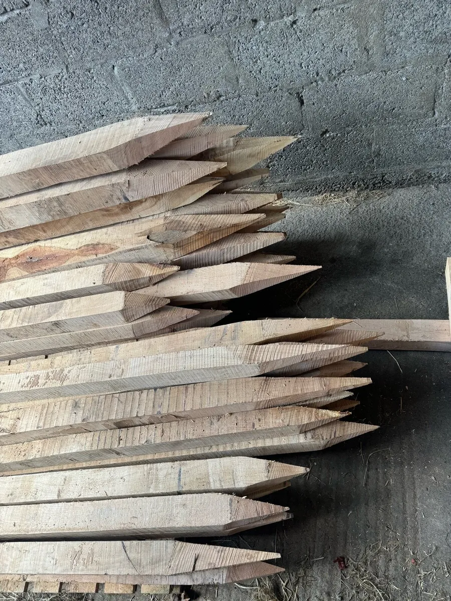 Fence posts - Image 3