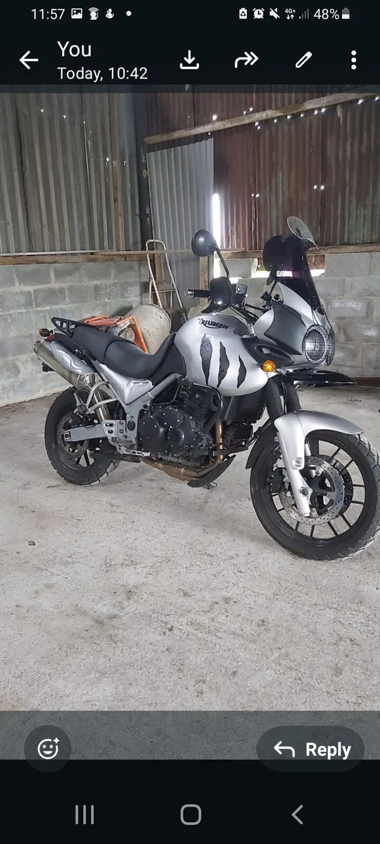 Triumph tiger - Image 2