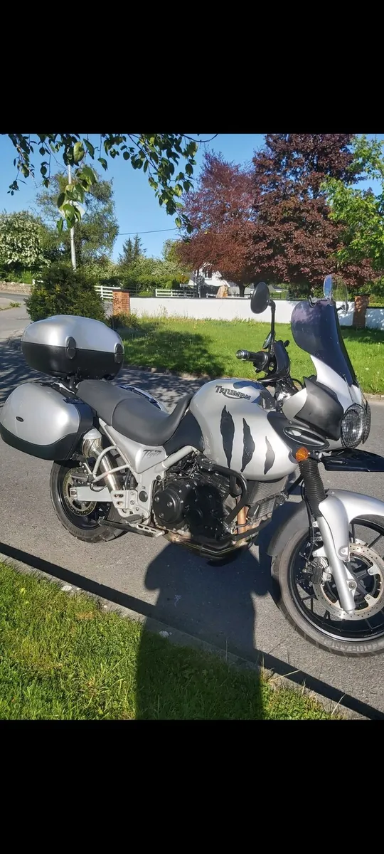 Triumph tiger - Image 3