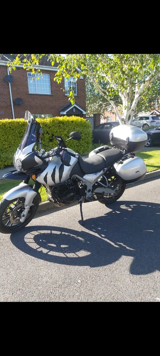 Triumph tiger - Image 1