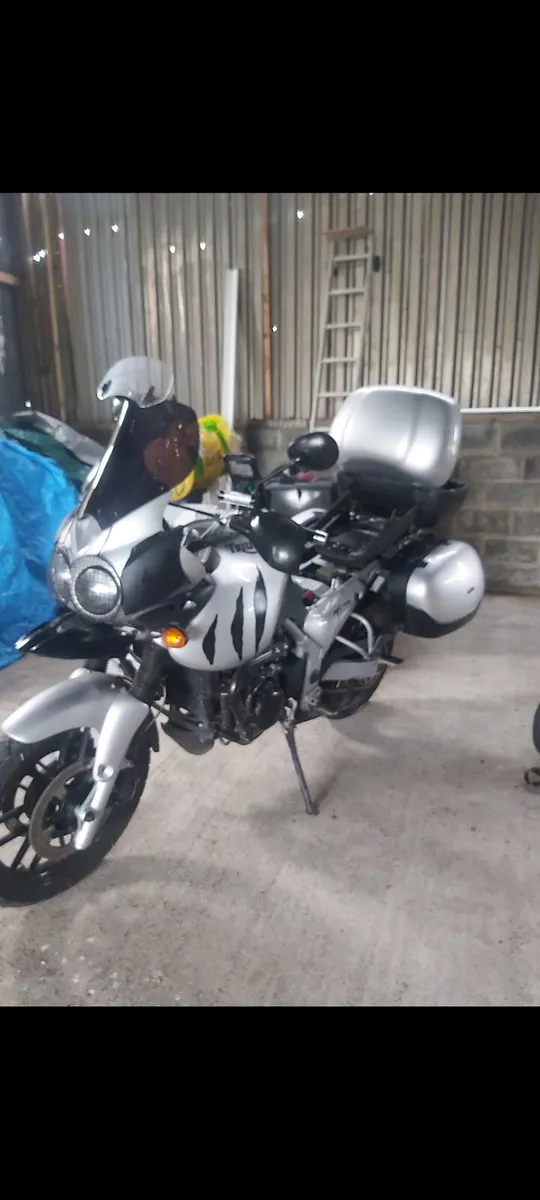 Triumph tiger - Image 4