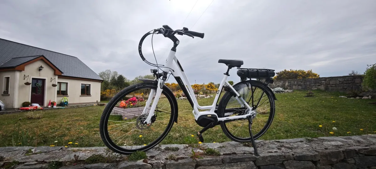 e-bike - Image 2