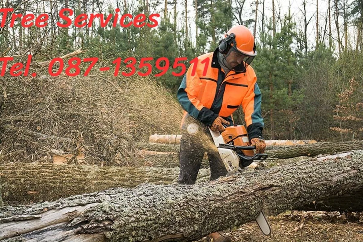 Affordable Chainsaw Operator