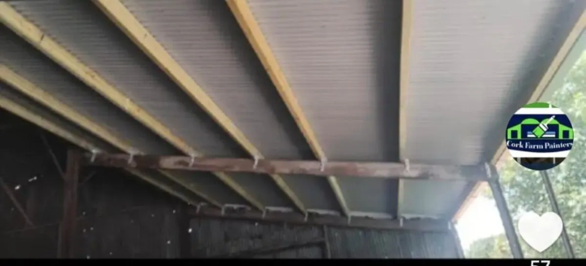 Cork Farm Painters & Shed Repairs - Image 2