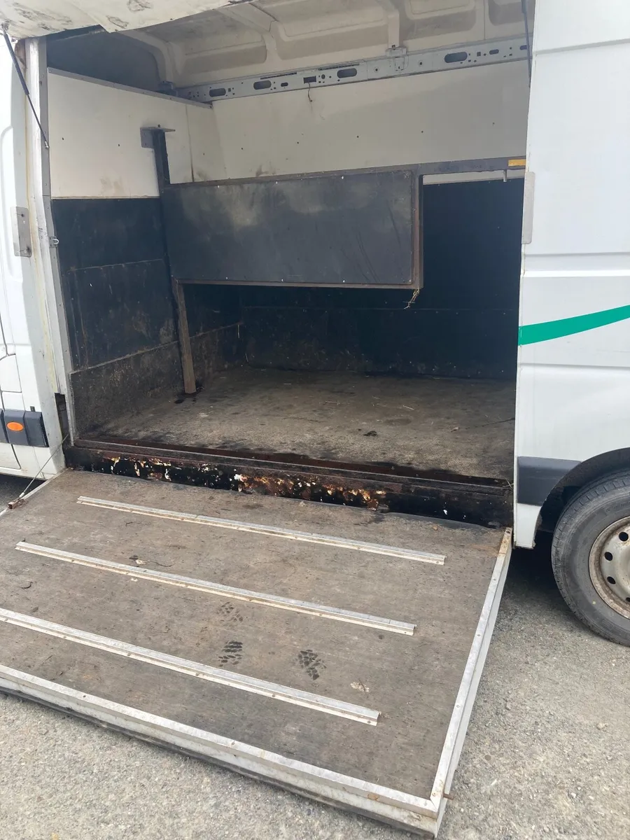 Renault Master Horse lorry - Image 2